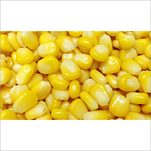 Frozen Sweet Corn By MR. FRESH AGRI PRODUCTS