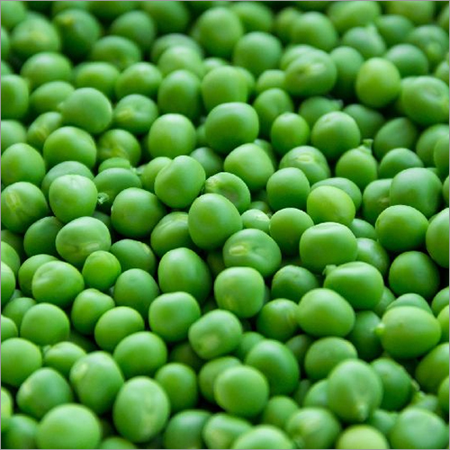 Frozen IQF Green Peas By MR. FRESH AGRI PRODUCTS