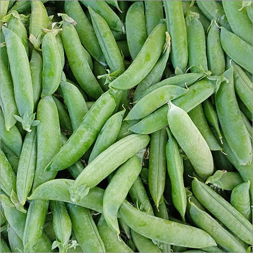 Fresh Green Peas