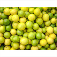 Organic Farm Fresh Lemon
