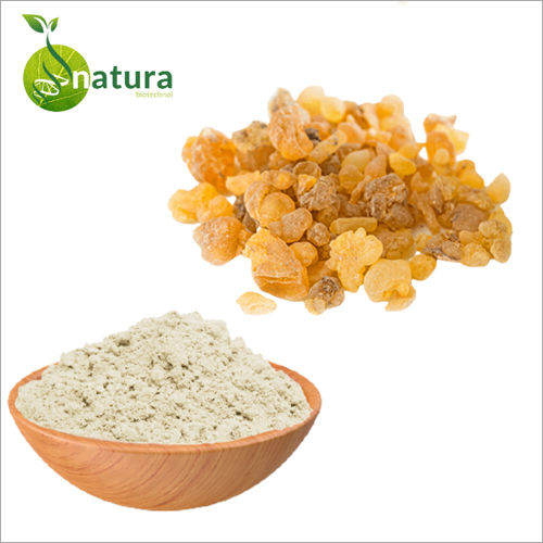 White Boswellia Extract