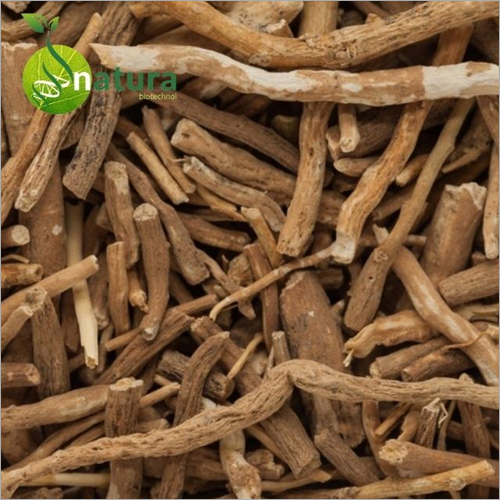 Ashwagandha Extract