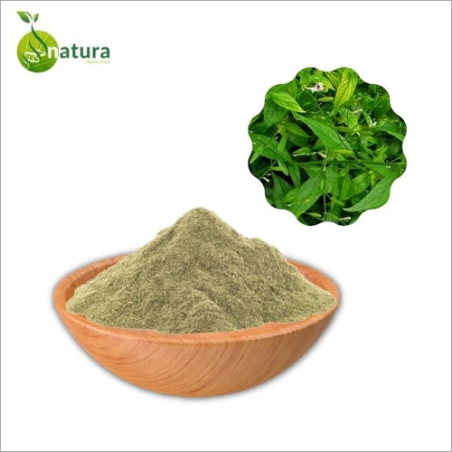 Andrographis Extract