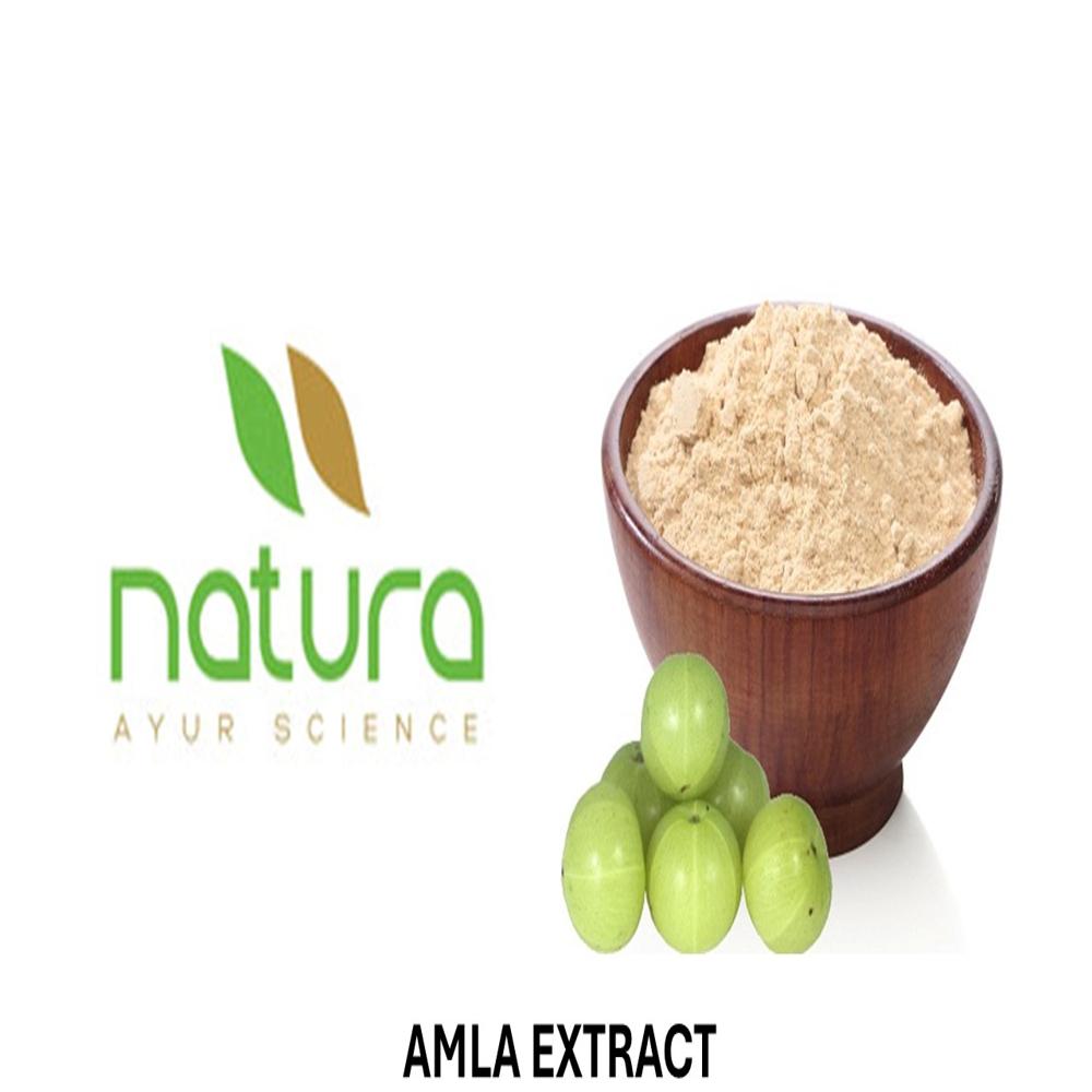 Amla Extract - 100% Pure Cold Processed Brown Powder | Mild Smell Natural Amla Ingredients