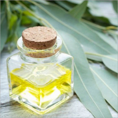 Eucalyptus Globulus Oil 