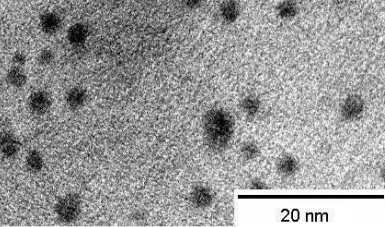 Silver Nanoparticles/Nanopowder  (Ag, purity 99.9%, 30-50 nm, metal basis)