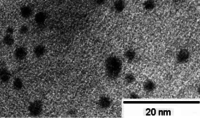 Silver Nanoparticles Nanopowder  (Ag purity 99.9% 30-50 nm metal basis)