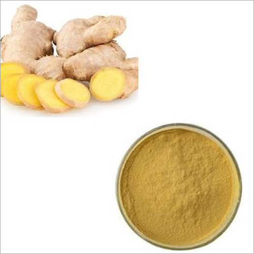 Ginger Juice Powder By BOTANIC HEALTHCARE PVT LTD