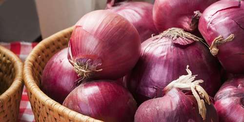 Red Onion By HEALVEIN LIFESCIENCE LLP