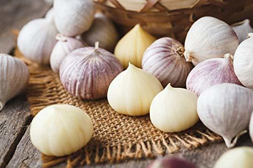 Solo Garlic