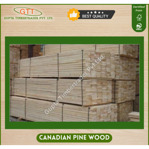 Canadian Pine Wood