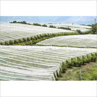 Agricultural Nonwoven Fabric