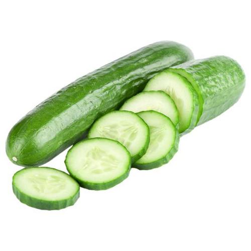 Fresh Cucumber By HEALVEIN LIFESCIENCE LLP