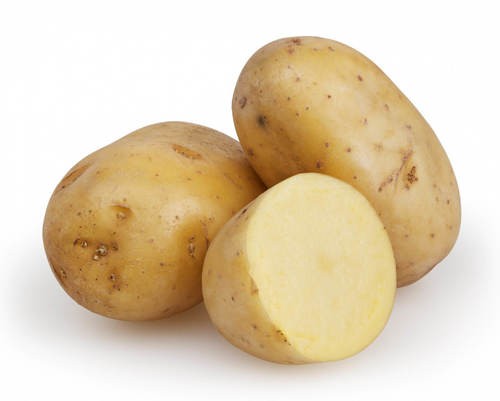 Fresh Potato By HEALVEIN LIFESCIENCE LLP