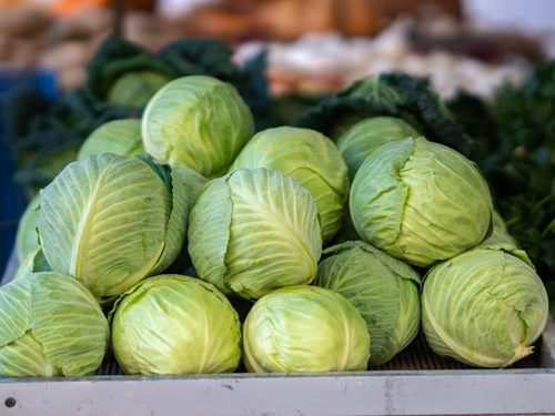 Fresh Cabbage By HEALVEIN LIFESCIENCE LLP