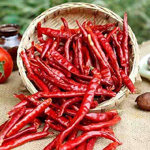 Red Whole Dry Chilli With Steam