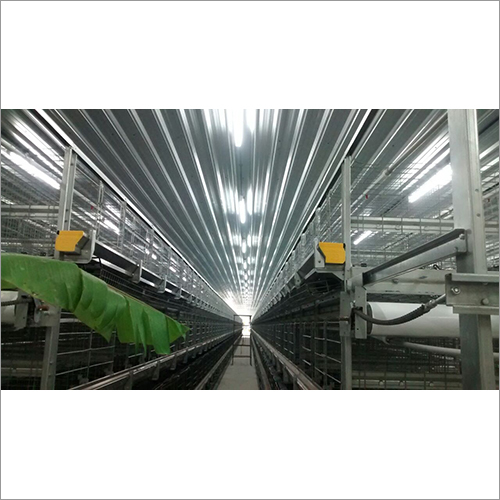 Poultry Farm Roofing Shed By SD INDUSTRIAL WORKS