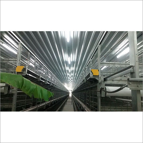 Steel Poultry Farm Roofing Shed