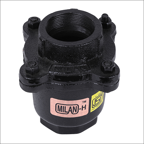 CI ISI Couple Check Valve