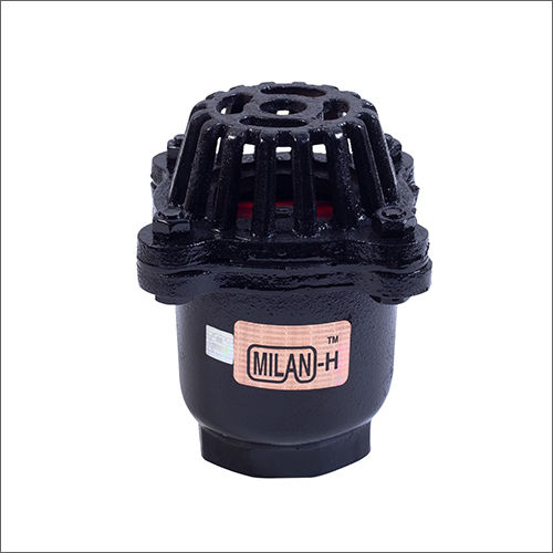 Black Ci Bolt Type Major Foot Valve