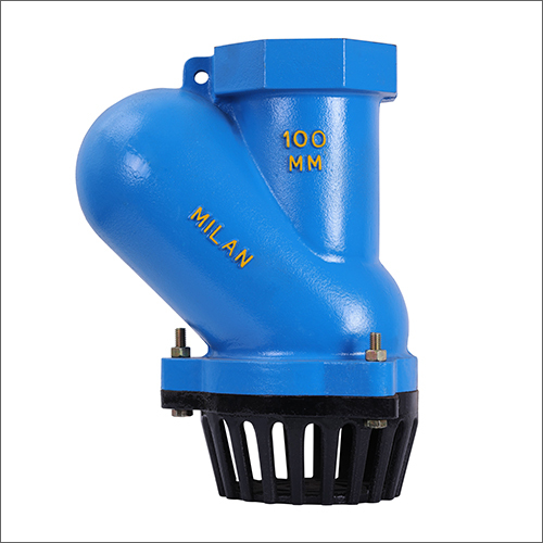 CI Ball Type Foot Valve