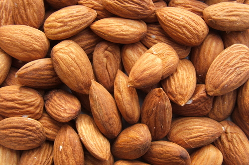 Organic Almonds By HEALVEIN LIFESCIENCE LLP