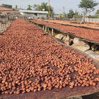 Natural Farm Betel Nut