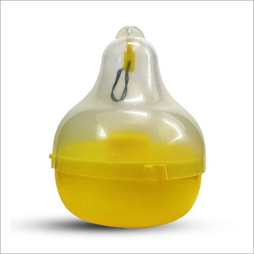 Maxplus Insect Trap