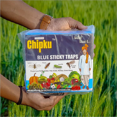 Blue Sticky Trap Pack Of 25