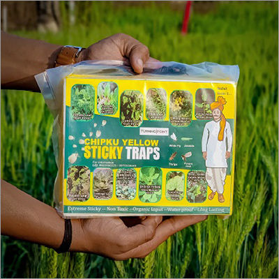 Yellow Sticky Trap Pack Of 25