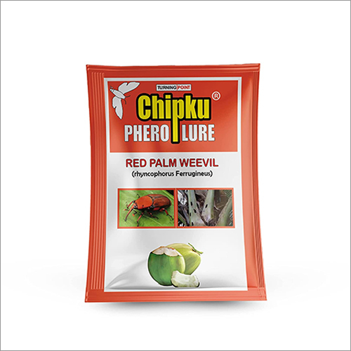 Red Palm Weevil  Phero Lure