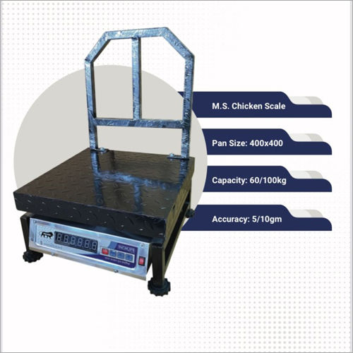 M S Chicken Scale