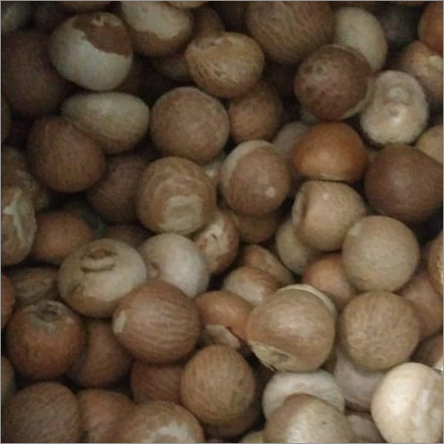 Whole Betel Nut
