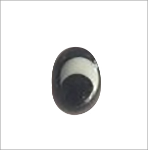 Oval Eye Beads
