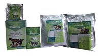 Pachak Digestive Powder