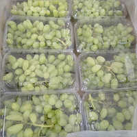 Fresh Green Grapes