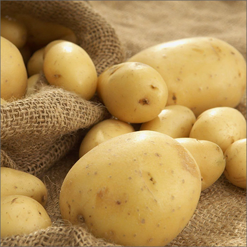 Fresh Potato