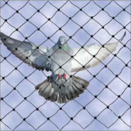 Pigeon Bird Netting Services