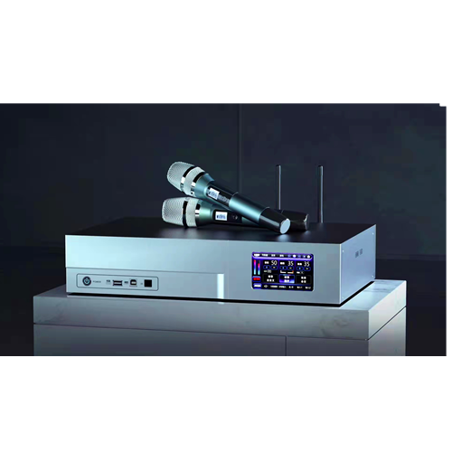 Professional 4-in-1 Effect Amplifier for Karaoke