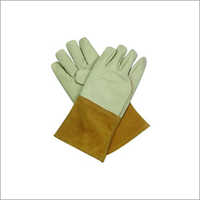 Apply Green Dyed Cow Grain Leather Gloves
