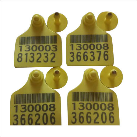 Dairy Farm Cattle Ear Tag