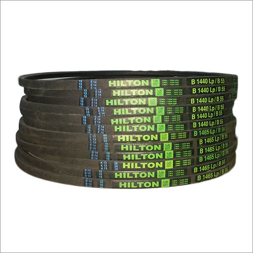 Hilton B Section V Belt