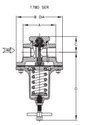 REGO Heavy-Duty Gas Line Regulator 1780 Series