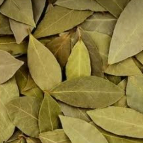 Bay Leaves