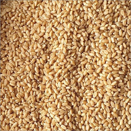 Milling Wheat