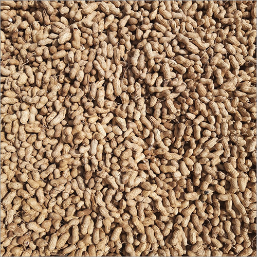 Natural Groundnut