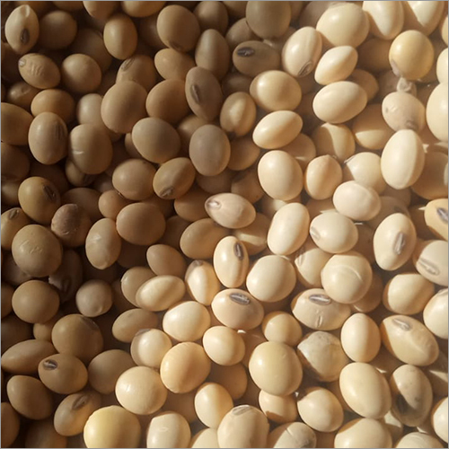 Soyabean Seeds