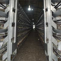 Automatic Feeding Cages