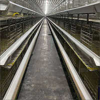 Breeder House Cages