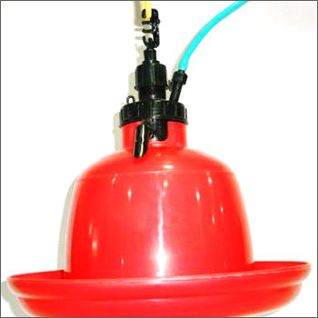 Poultry Feeding System